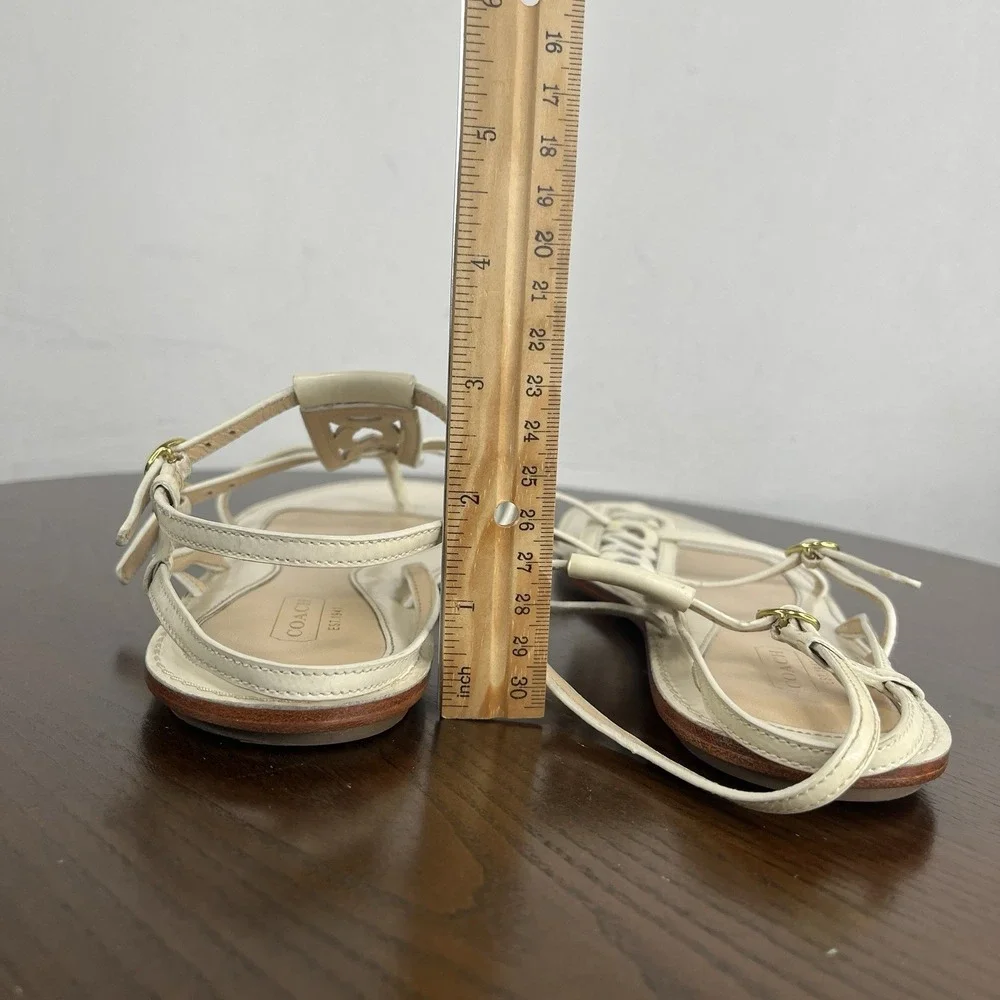 Coach 5b women gladiator